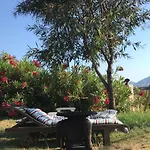 Casa Del Paso Lodge *