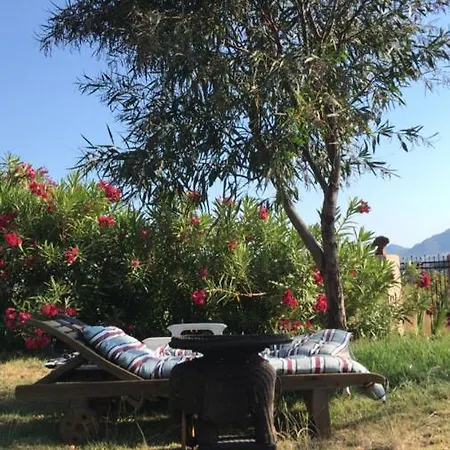 Casa Del Paso Lodge *