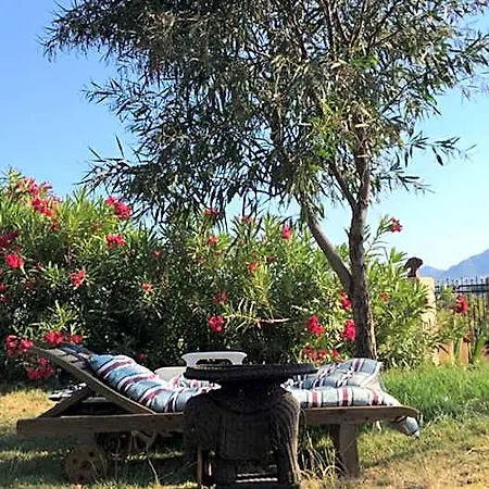 Casa Del Paso Lodge