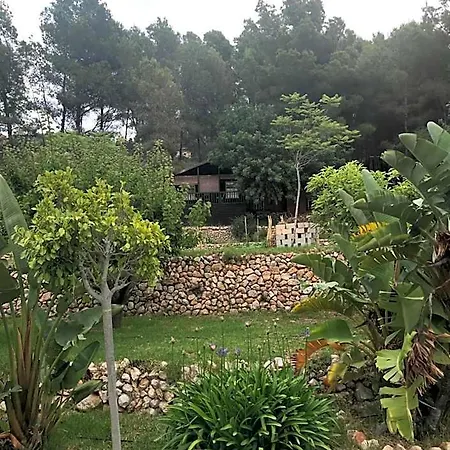 Casa Del Paso *